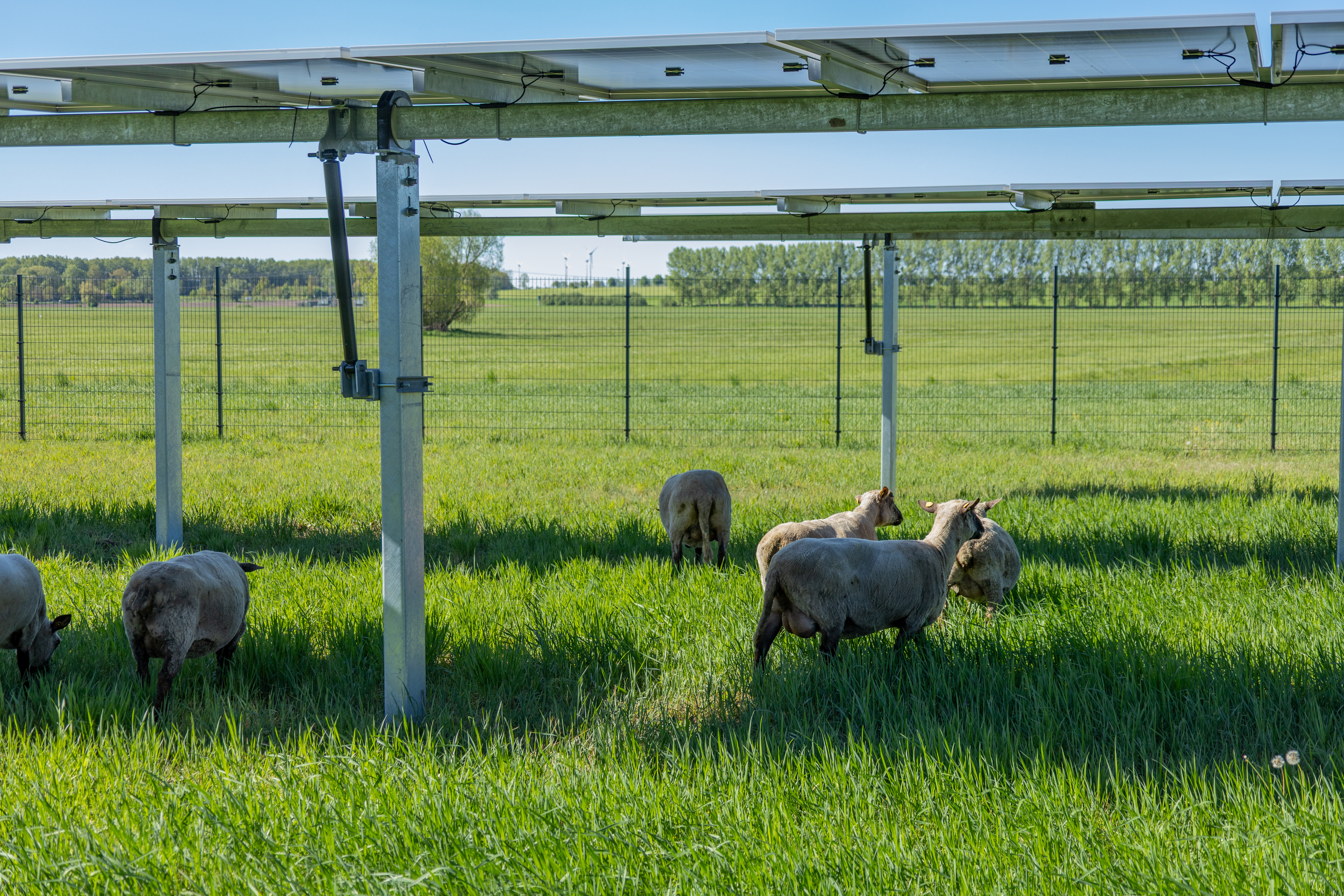 Investieren in Agri-PV