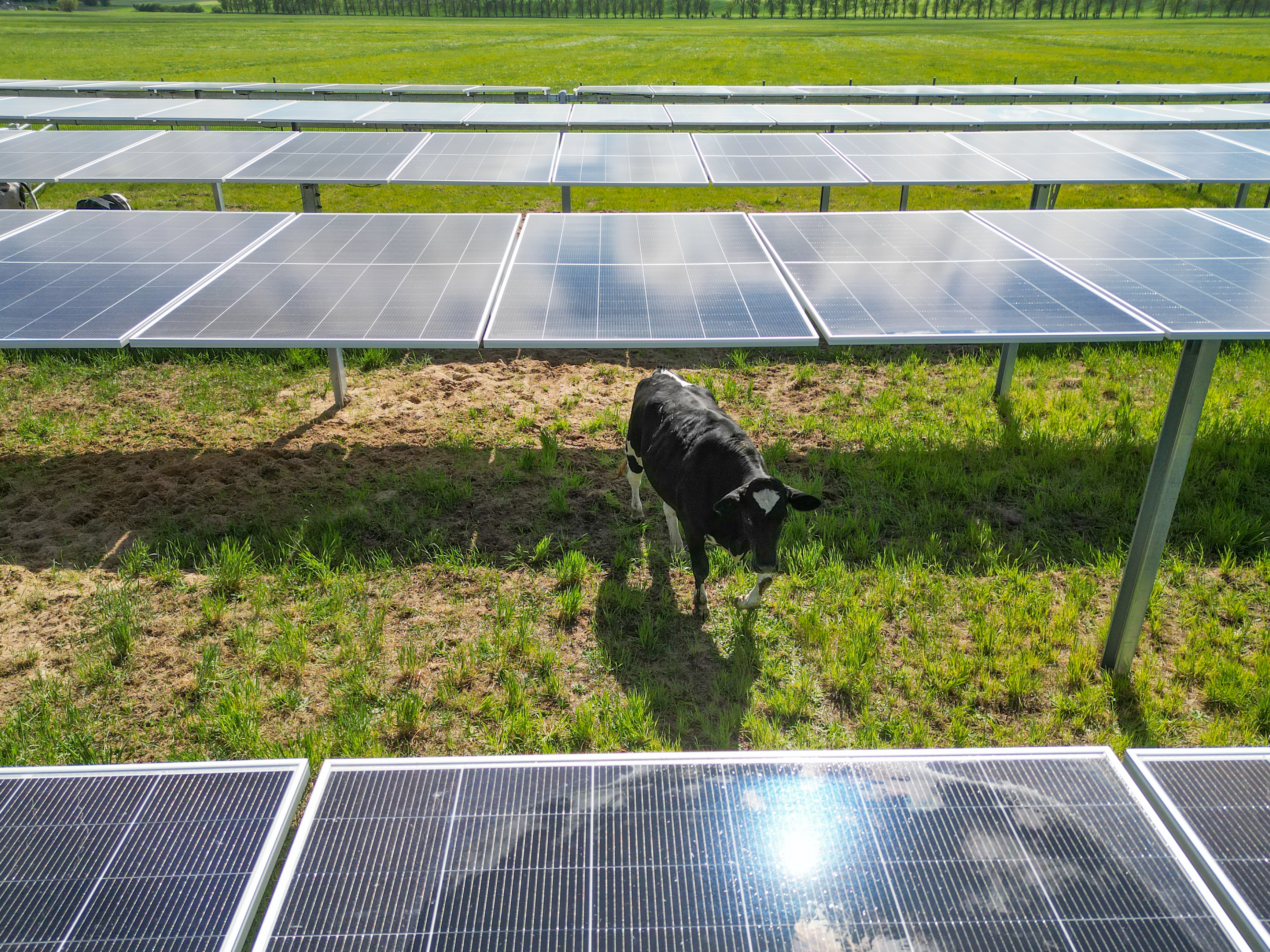 Agri-PV Projekt hero-5.jpg