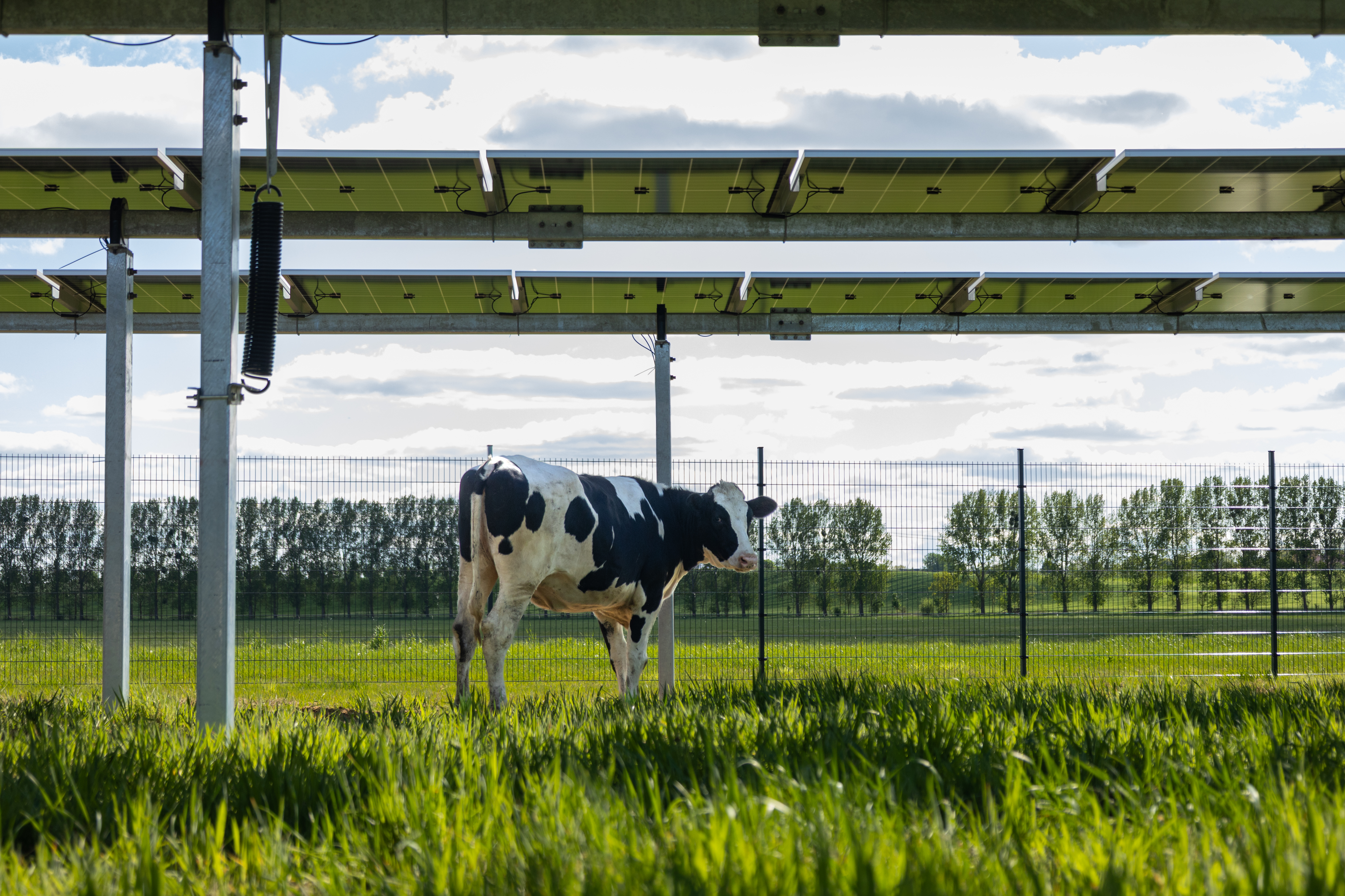 Wirtschaftlichkeit & Pacht