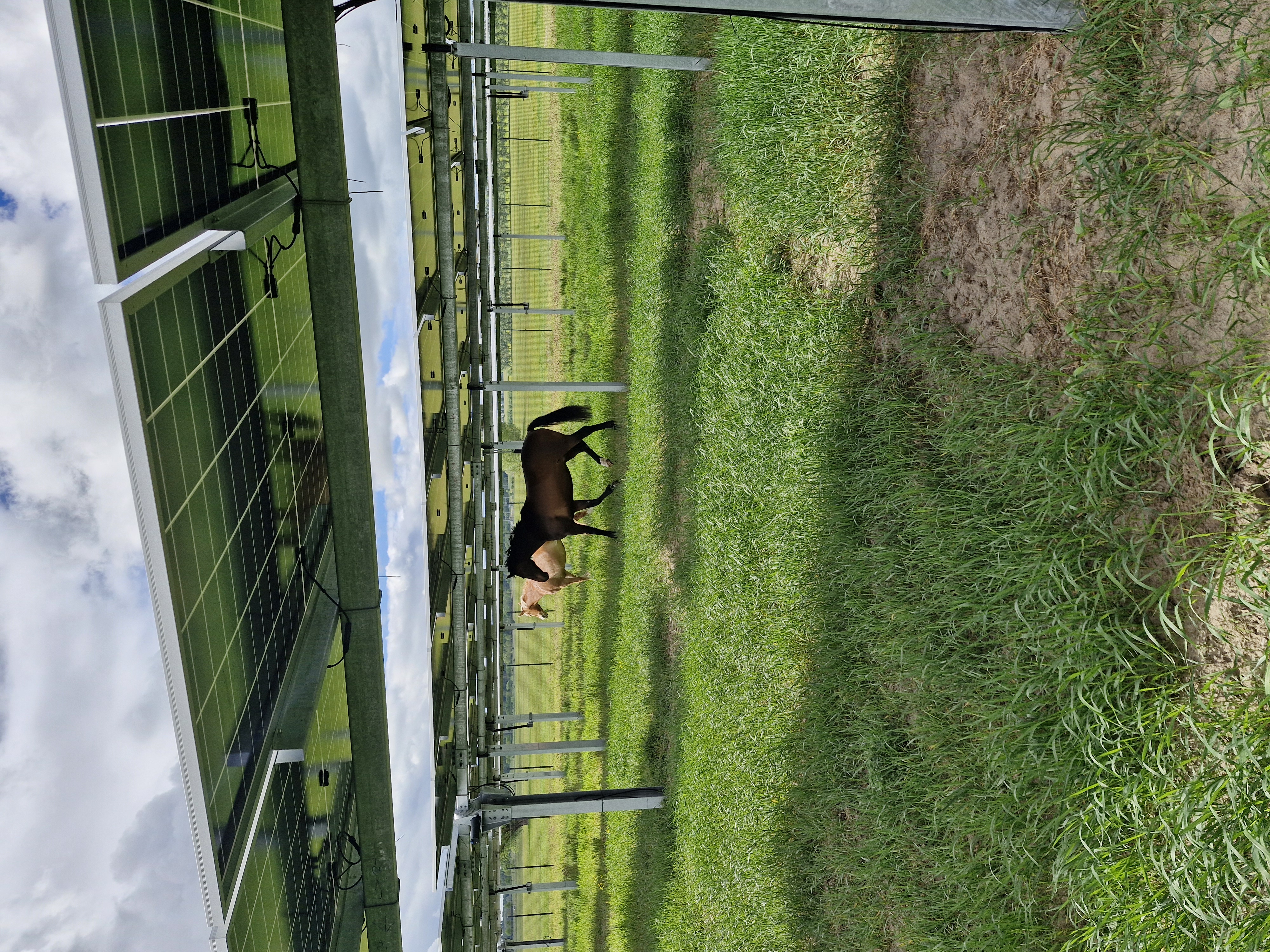 Förderung & Recht - Agri-Photovoltaik